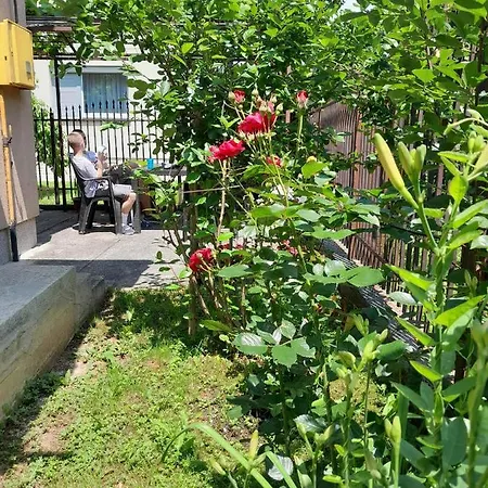 Sultan Villa *